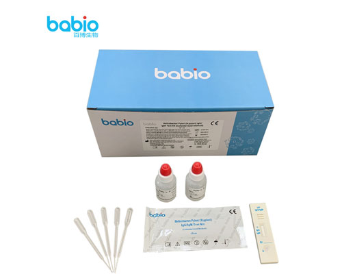Helicobacter pylori (H.pylori) IgG/ IgM Test Kiti Test Prosedürü