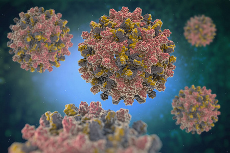HEV IGM Hızlı Testi: Hepatit E tanısında öncülük etmek