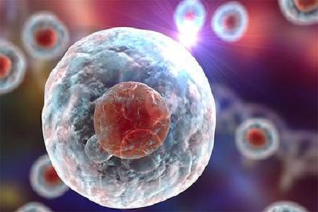 Babio, gelişmiş sitogenetik ve hematolojik teşhis için yüksek kaliteli Giemsa Stain B çözeltisini başlattı
