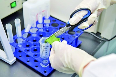Babio’nun Gram Leke Kiti ile basitleştirilen güvenilir bakteriyel tanımlama