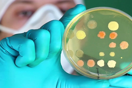 Babio, yiyecek ve su testi için yüksek kaliteli parlak yeşil laktoz safrası suyu piyasaya sürdü