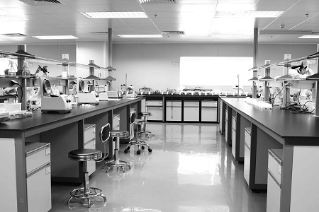 Babio Salmonella Shigella Agar: Gıda güvenliği ve klinik teşhis için güvenilir ortam