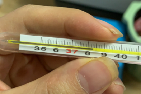 Hızlı Antijen Kombo Testi: COVID-19, Grip A/B ve RSV