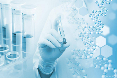 Agar Medium B (Casein Soya Fasulyesi Digest Agar) – Mikrobiyal Kültür için Güvenilir Bir Seçim