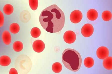 BABIO, Küresel Pazarlar için HBcAb Hepatit B Core Ab Hızlı Testini Başlatıyor