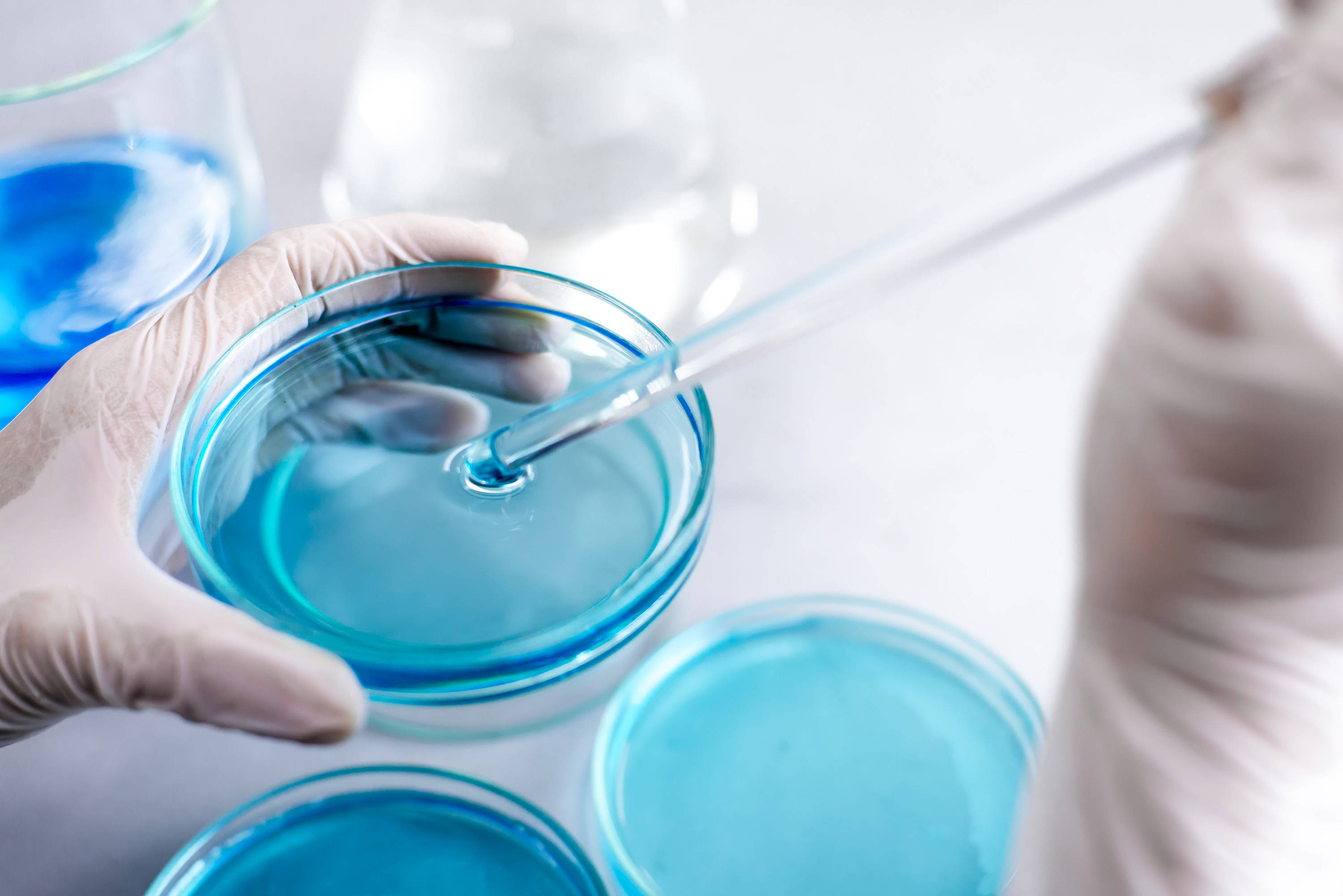 BABIO Nutrient Agar Medium, Çevresel Mikrobiyal İzlemeyi Geliştiriyor