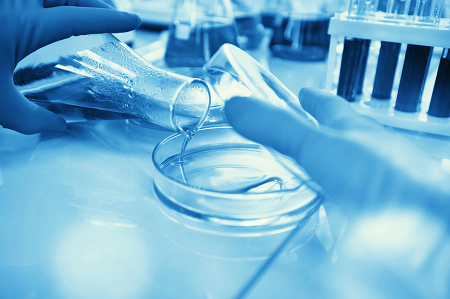 BABIO Nutrient Agar Granülü Dünya Çapında Güvenilir Mikrobiyal Testleri Destekliyor