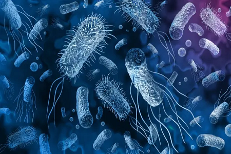 BABIO Influenza A/B Antijen Tespit Kiti Hızlı Solunum Virüsü Taramasını Destekler