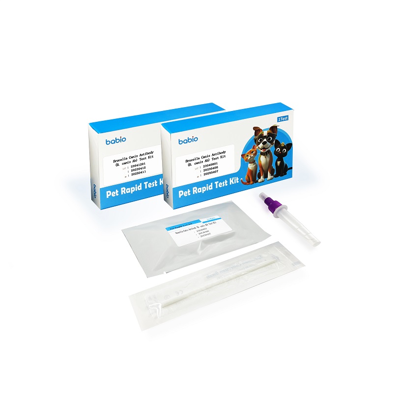 Brucella Canis Antikoru (B. canis Ab) Test Kiti