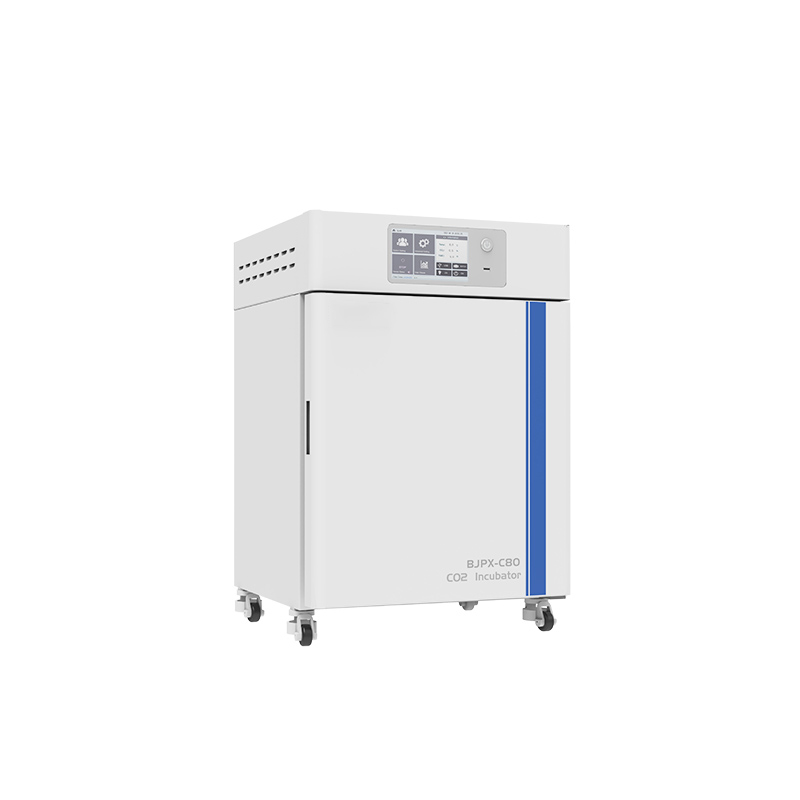 CO2 İnkübatörü BJPX-C50 BJPX-C80 BJPX-C160 BJPX-C80S BJPX-C160S