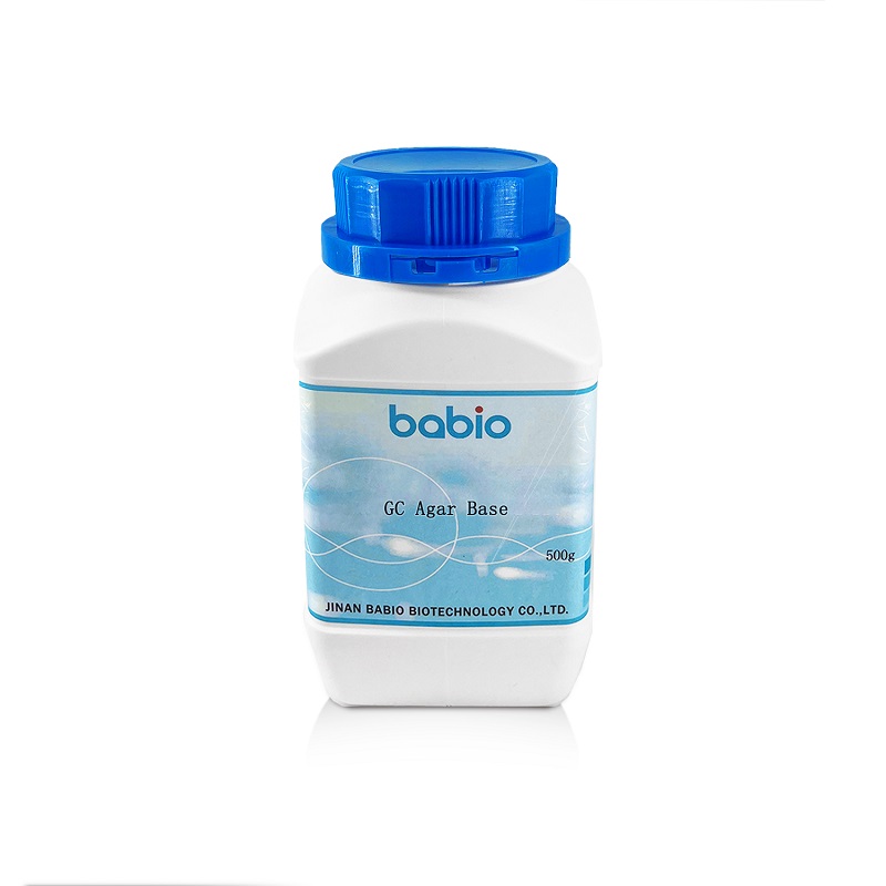 GC Agar Tabanı