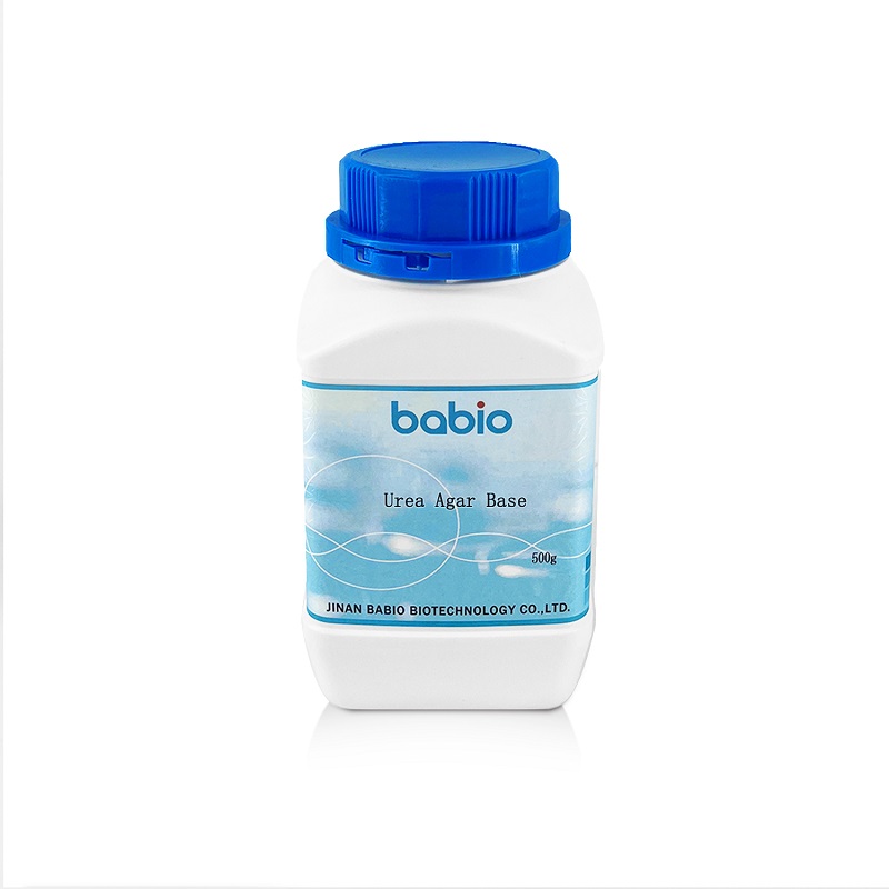 Üre Agar Tabanı